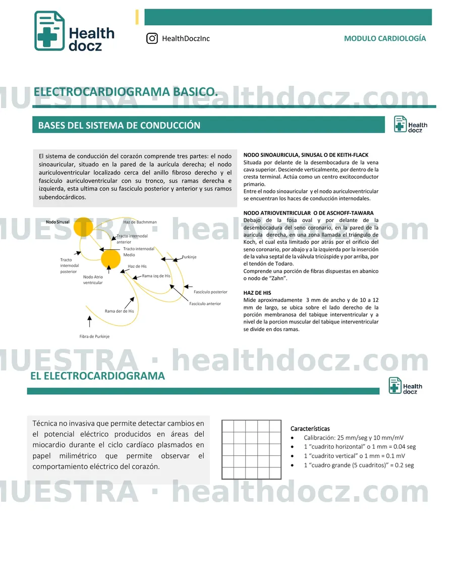 Primera página del módulo de electrocardiograma básico